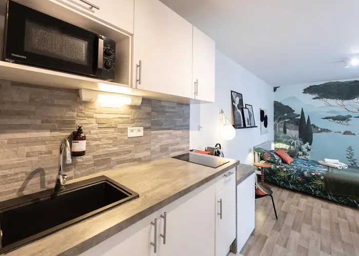 Le Cocon De Cordeliers Apartment *