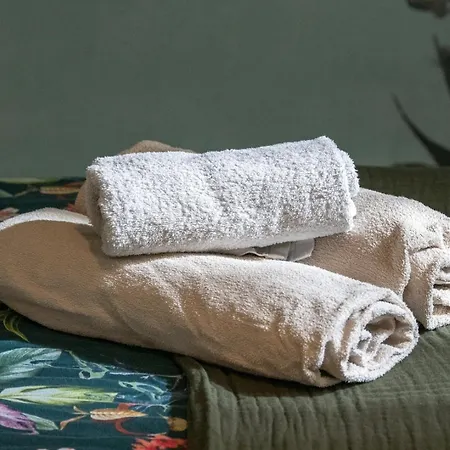 شقة Le Cocon De Cordeliers ليون